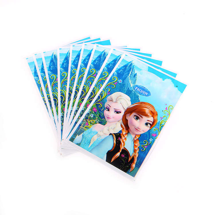 Frozen Party Bags